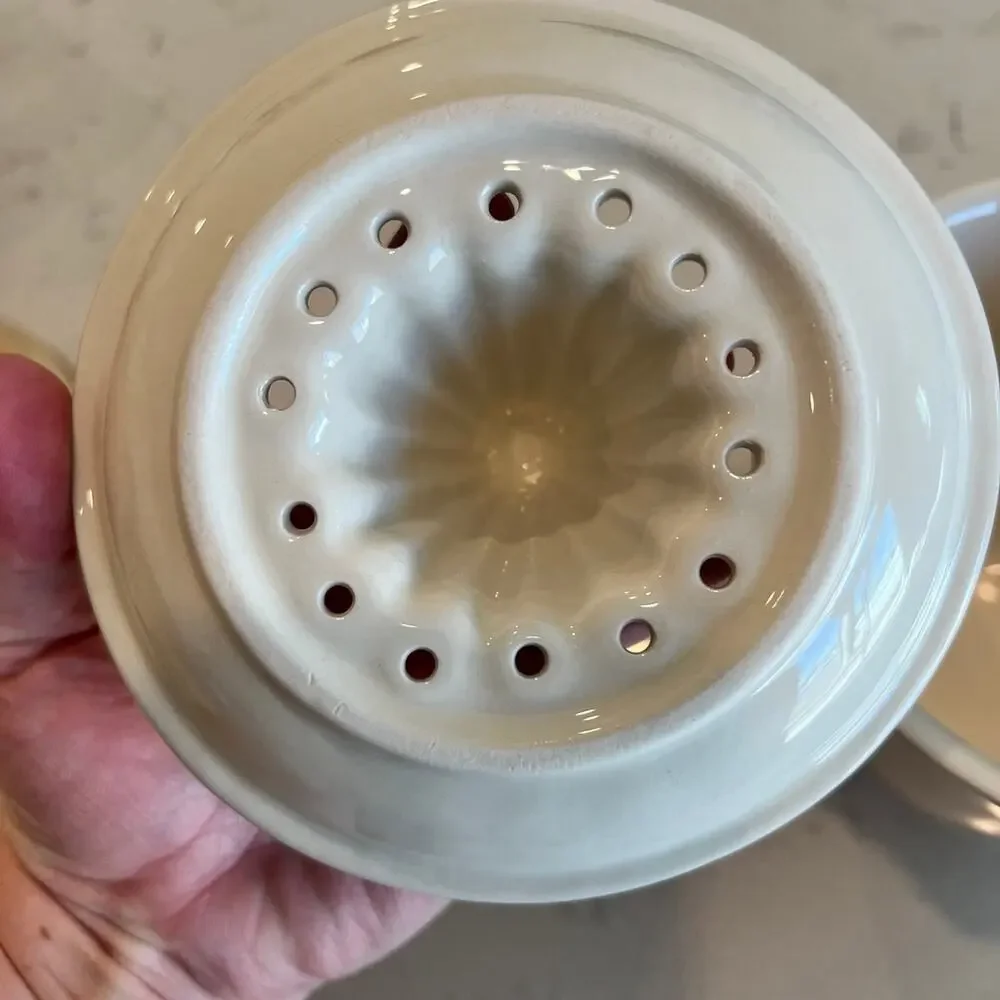 Rae Dunn Fresh Juicer